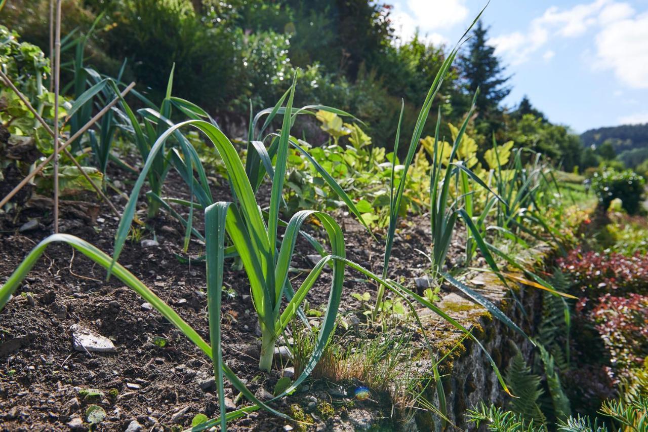 The Conscious Farmer Bed And Breakfast Sauerland Willingen  Ngoại thất bức ảnh