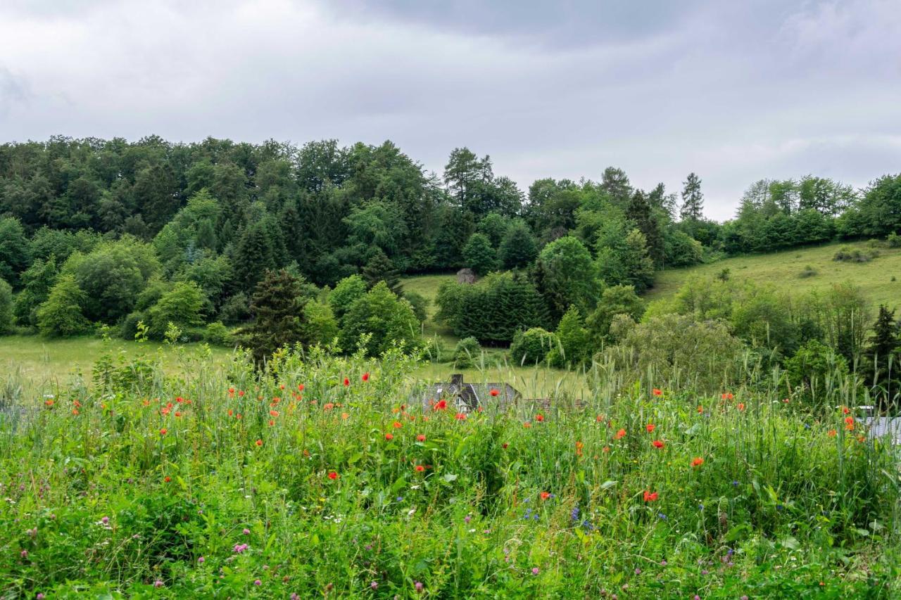 The Conscious Farmer Bed And Breakfast Sauerland Willingen  Ngoại thất bức ảnh