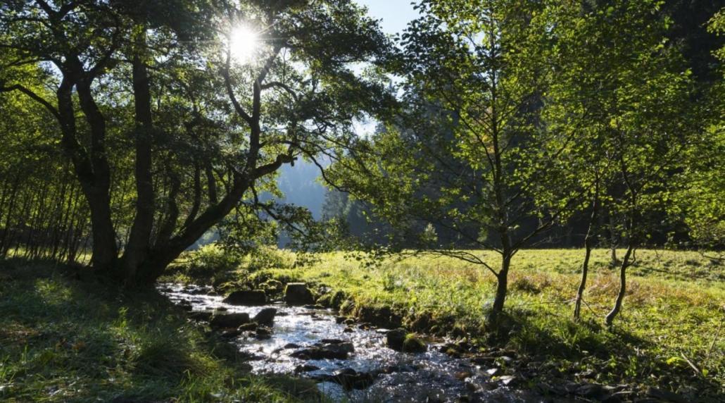 The Conscious Farmer Bed And Breakfast Sauerland Willingen  Ngoại thất bức ảnh