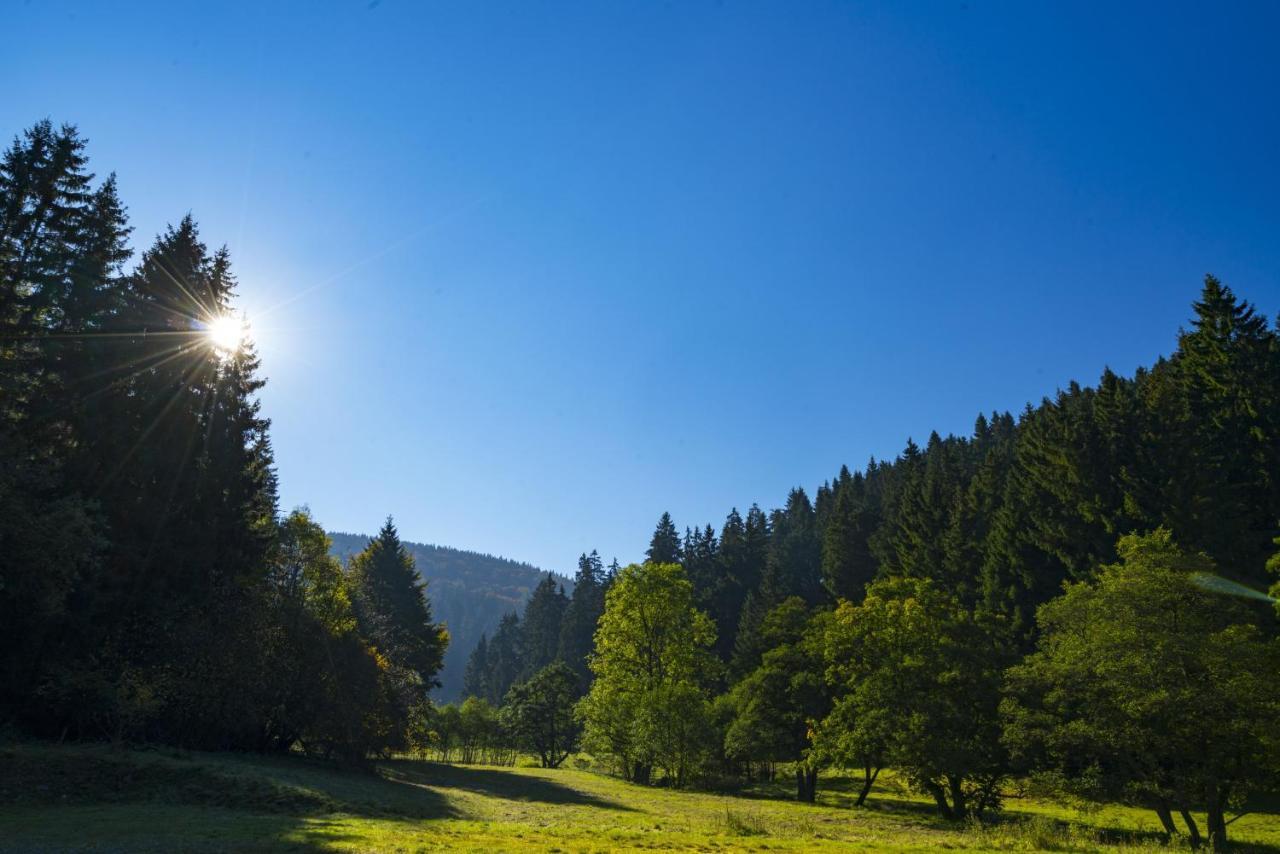 The Conscious Farmer Bed And Breakfast Sauerland Willingen  Ngoại thất bức ảnh