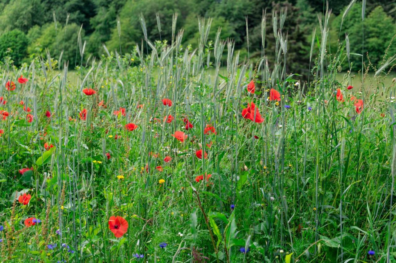The Conscious Farmer Bed And Breakfast Sauerland Willingen  Ngoại thất bức ảnh